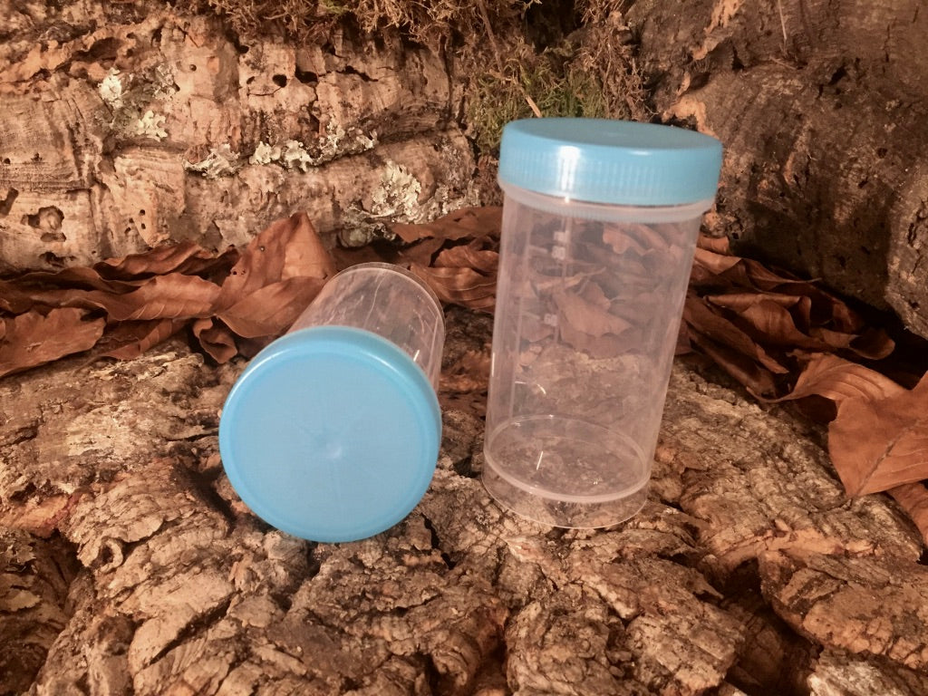 Styroporbox 7,0 Liter – Arachno-World