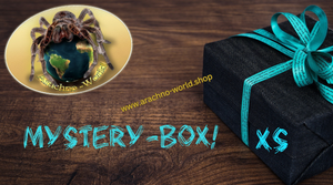 Mystery-Boxen XS "Zubehör und Dekoration"